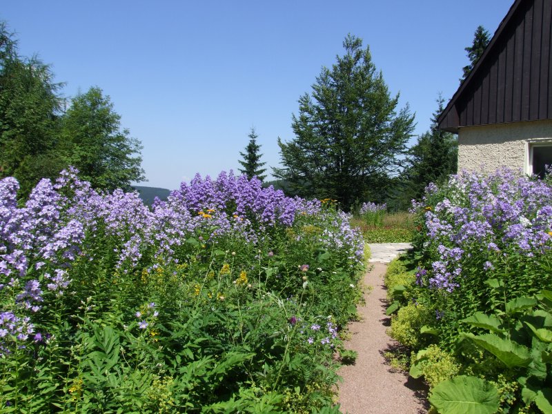 botanischer garten schellerhau naturschutzstation osterzgebirge