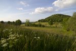 Bergwiese am Geisingberg (Foto: J. Felbrich)