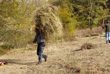 Wiesenmahd (Foto S. Heinz)