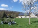 Streuobstwiese (Foto: LPV)
