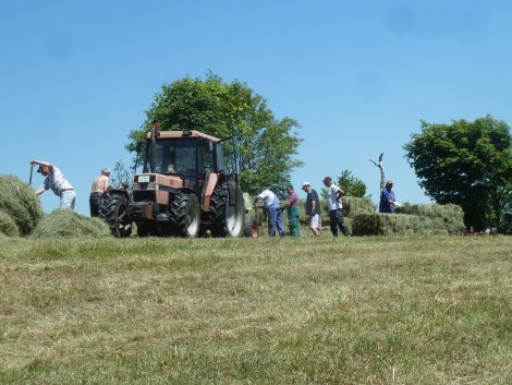 Wiesenpflege mit Technik und von Hand