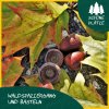Quelle: LaNU