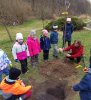 Gewusst wie: Bäume pflanzen in Freital (Foto: L. Vogt)