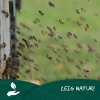 Quelle: LaNU
