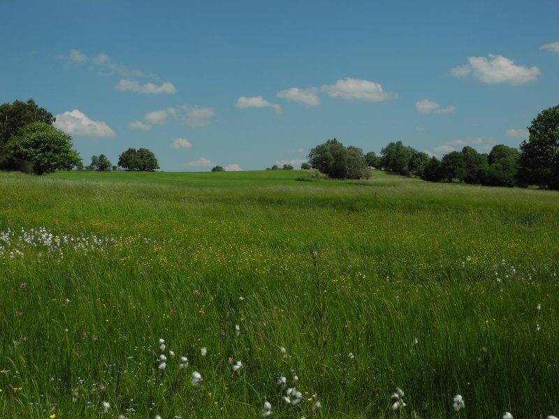 NSG Mittelgebirgslandschaft um Oelsen / Naturschutzstation Osterzgebirge