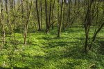Foto: Gerold Pöhler