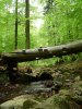Foto: Jens Weber