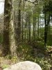 Foto: Jens Weber