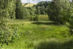 Foto: Gerold Pöhler