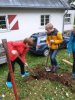 ...und freunden sich beim Pflanzen mit ihnen an.