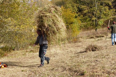 Wiesenmahd (Foto S. Heinz)