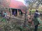 bei den Tieren auf der Johannishöhe (Foto: P. Sinapius)