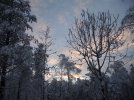 Winter am Kahleberg  (Foto: H.Schmidt)