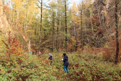 Herbstliche Waldlichtung mit arbeitenden Menschen