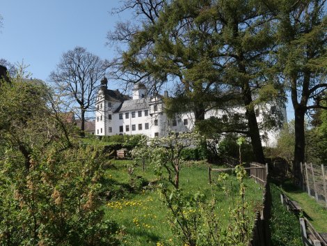 Schloss hinten, Rasenfläche mit Obstbäumen