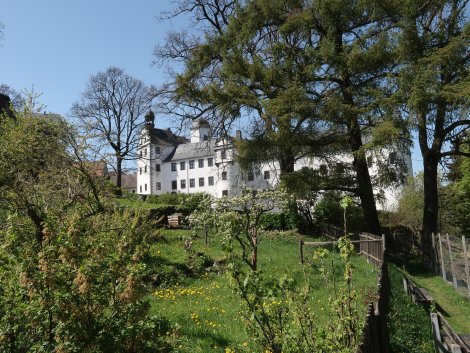 Schloss hinten, Rasenfläche mit Obstbäumen