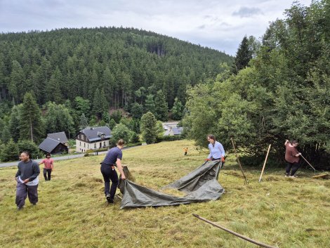 Schell. Praktikum 2025 Wieseneinsatz (Foto: S. Klingner)
