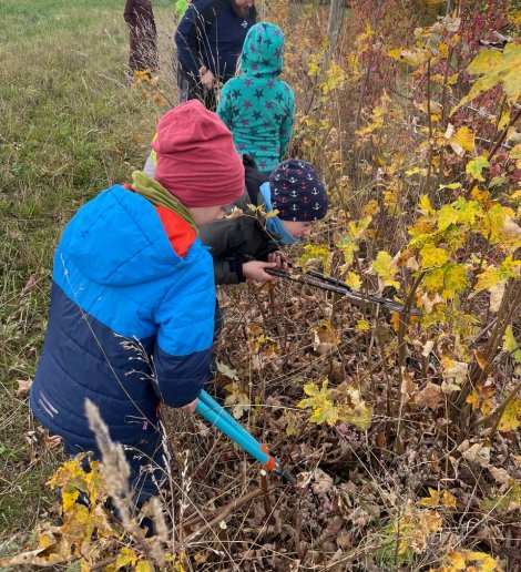 Heckenpflege JuNa (Foto: M. Müller)