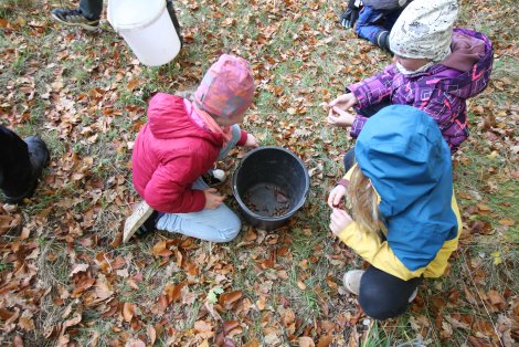 Herbstfrüchte sammeln - Junge Naturwächter (Foto: S. Barnewitz)