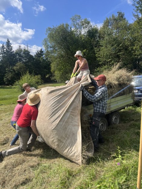 Heu wird auf Hänger geladen (Foto: J. Pollakis)