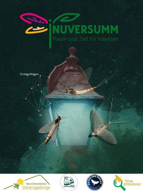 Tiere der Nacht (Grafik: inuversumm)