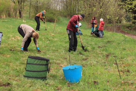 Ehrenamtliche beim Lupinenstechen (Foto: S. Klingner)