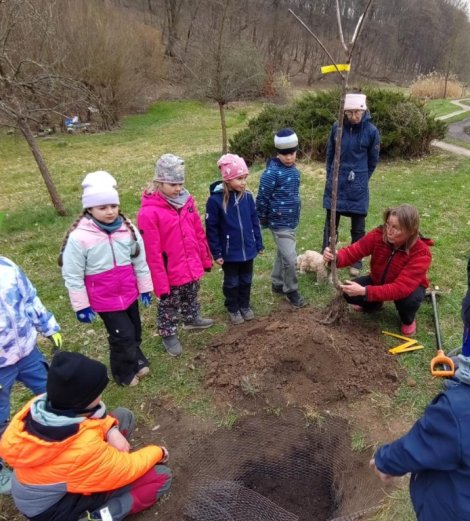 Kinder beim Bäumepflanzen (Foto: L. Vogt)