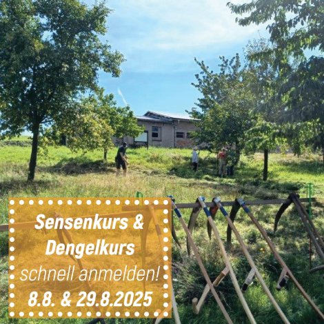 Beim Sensenkurs (Foto: Landschaftspflegeverband)