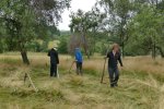 Sensen für schonendes Mähen auf naturschutzbedeutsamen Flächen (Foto: L. Forkelová)