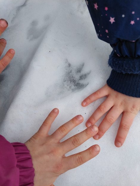 JuNa-Praxistag Biber Feb. 2026 (Foto: S. Barnewitz)