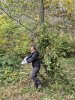 Brombeeren abtransportieren (Foto: S. Klingner)
