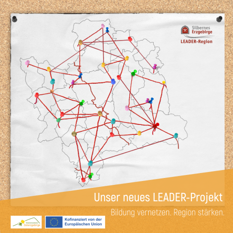 Netzwerkgrafik LEADER-BNE (Grafik: J. Solisch)