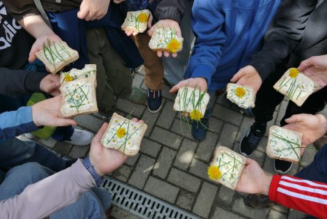 Entdeckungsreise Wiese Projekttag (Foto: R. Groß)