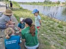 Wasser und Wassertierchen der Elbe werden erkundet (Foto: S. Klingner)