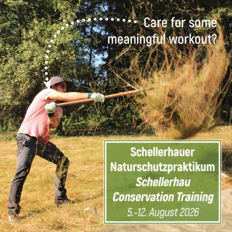 Heumachen beim Schellerhauer Naturschutzpraktikum (Foto: S. Klingner)