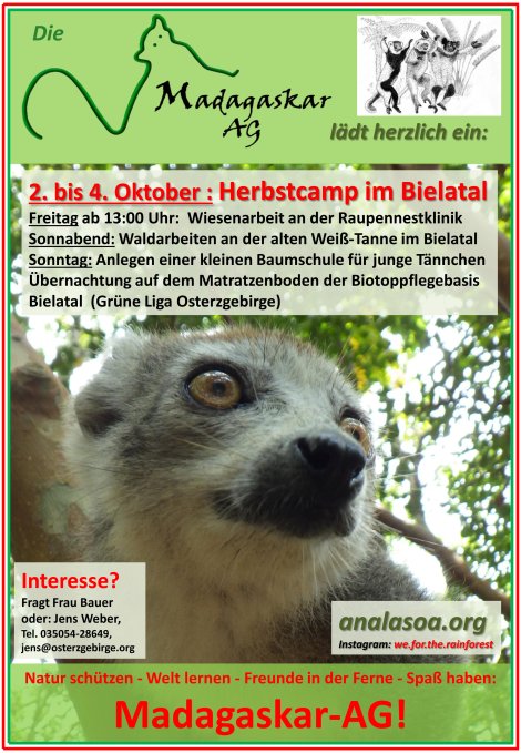 Aushang zum Herbstcamp der Madagaskar-AG 2026