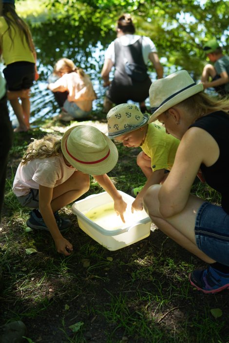 Kinder bei der Umweltbildung am Teich (Foto: L. Demling)