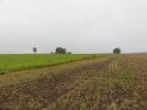 Leerer Fleck zu Beginn des Projektes Steinrücke (Foto: S. Heinz)