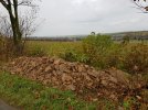 Lesesteinhaufen halten in den Lücken Einzug (Foto: A. Lindner)