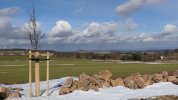 Erster Winter mit Bepflanzung (Foto: S. Heinz)