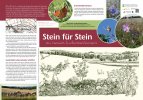  Infotafel vor Ort (Grafik: J. Felbrich)