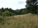 Die Wiese vor der Erstpflege (Foto: S. Heinz)
