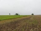 Leerer Fleck zu Beginn des Projektes Steinrücke (Foto: S. Heinz)