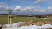 Erster Winter mit Bepflanzung (Foto: S. Heinz)