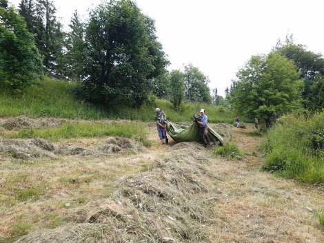 Menschen beräumen Heu (Foto: S. Klingner)