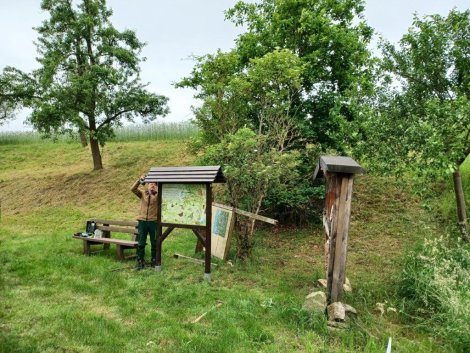 Infotafel vor Obstbäumen (Foto: E. König)