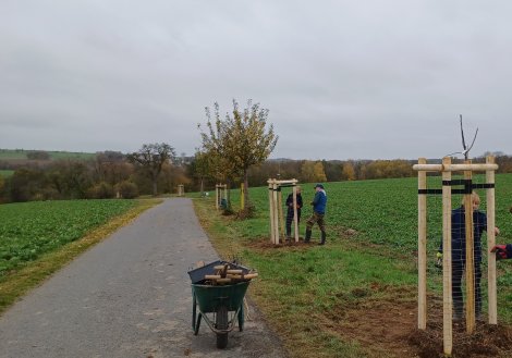 Menschen an jungen Bäumen mit Stützpfosten