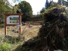 Wiese bei Altenberg (Foto: S. Klingner)
