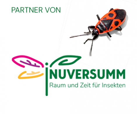 Logo mit Feuerwanze