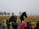 Entdeckertour Bergwiese: Beweidung = Nutzen für Tier und Natur